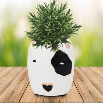 Rufus Black & White Bull Terrier Dog Ceramic Planter Pot 12cm