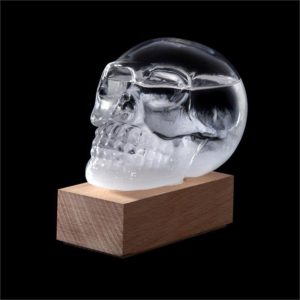 Skull Shaped Storm Glass Weather Station With Base