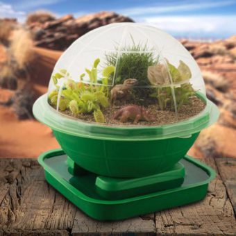 Terra Sphere Dinosaur Garden Dome Kit | Plants Grow Planter Habitat Venus Flytrap